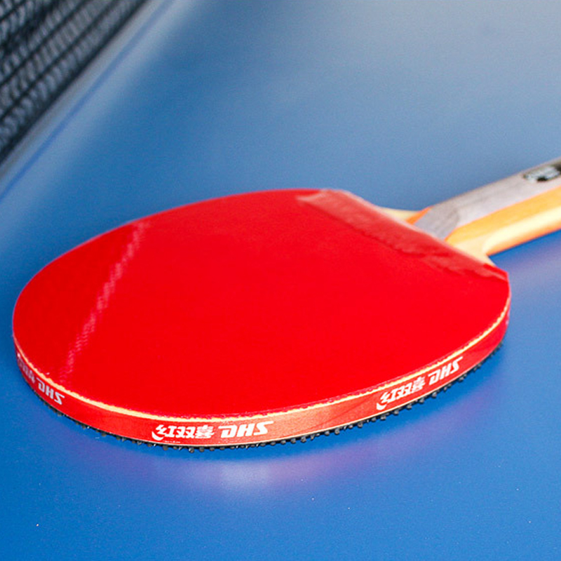 DHS Self-adhesive Table Tennis - Table Tennis Market review and price